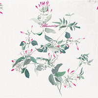 LENZUOLA GELSOMINO MATRIMONIALE-BLUMARINE