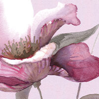 Copripiumino Fleurette matrimoniale Blumarine