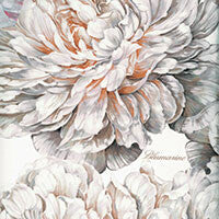 BLUMARINE HOME-TRAPUNTA SOGNI MATRIMONIALE
