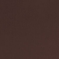 Cuscino liscio Botticelli raso 50x50 Dondi