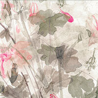 Blumarine Home Parure copripiumino Ciclamino