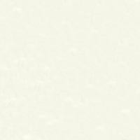 Cuscino liscio Botticelli raso 50x50 Dondi