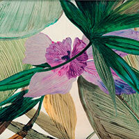 LENZUOLA KAILUA MATRIMONIALE | DONDI HOME
