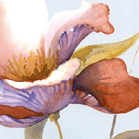 Copriletto Fleurette matrimoniale-Blumarine home
