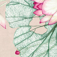 Lenzuola quattro stagioni Loto matrimoniale blumarine