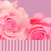 Coppia federe Roses-Camomilla by Dondi