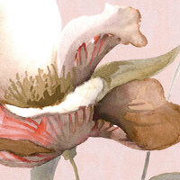 Copriletto Fleurette matrimoniale-Blumarine home