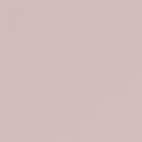 Cuscino liscio Botticelli raso 50x50 Dondi