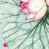 Lenzuola quattro stagioni Loto matrimoniale blumarine