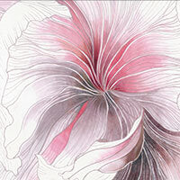 Blumarine Home | Trapunta Bella Di Notte matrimoniale